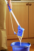 Kleeneze Mop
